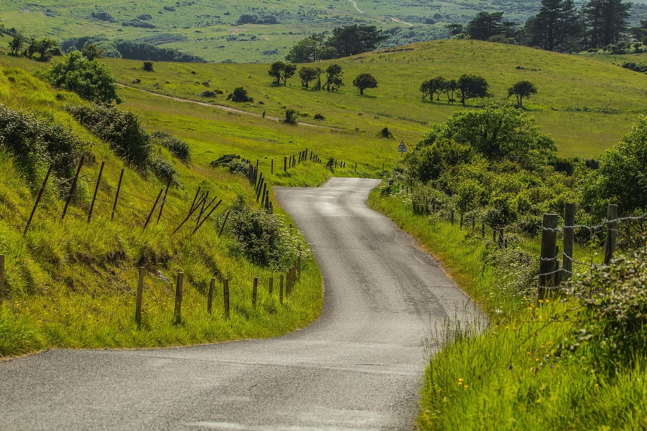 A narrow country lane winding between hedges and green fields